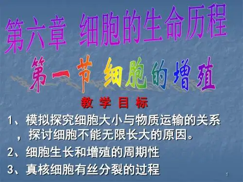生物有丝分裂ppt课件