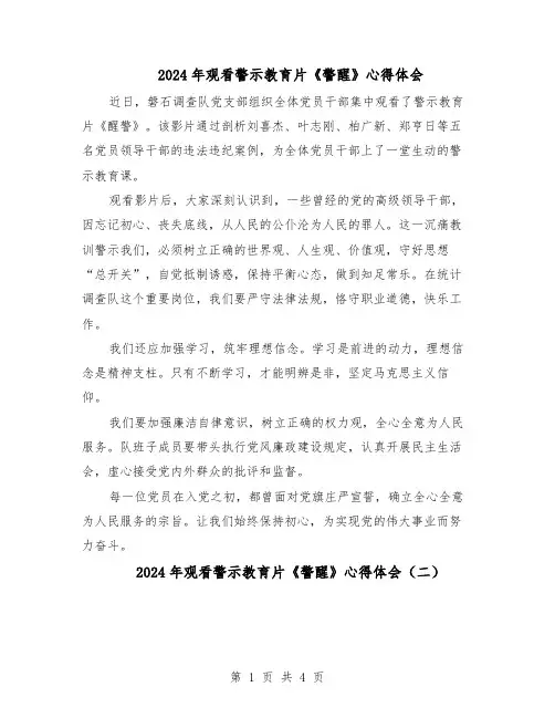 2024年观看警示教育片《警醒》心得体会（三篇）