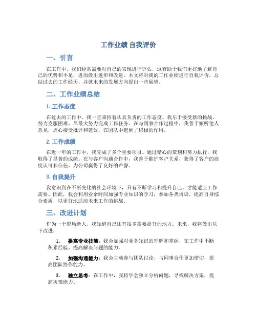 工作业绩 自我评价