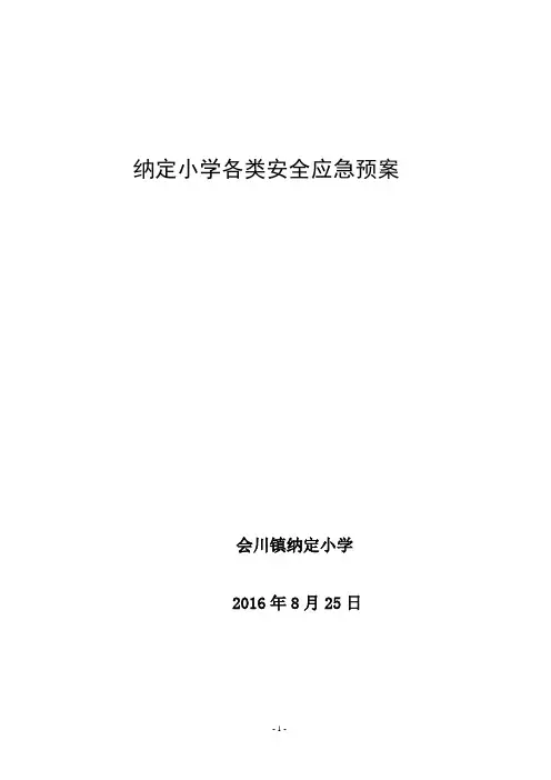 纳定小学安全应急预案 完善版