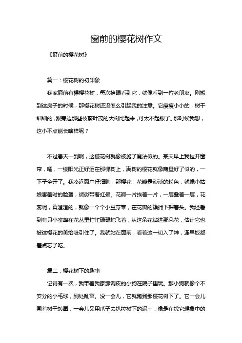 窗前的樱花树作文