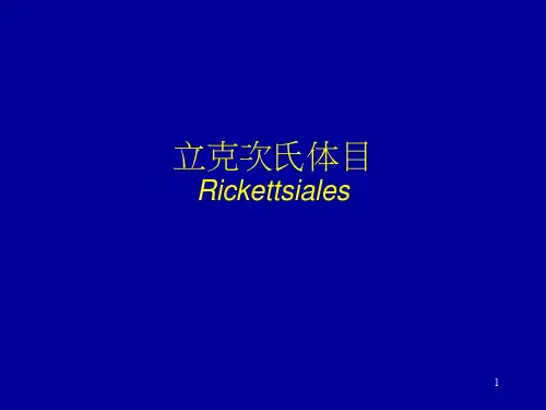 立克次氏体目(Rickettsiales)