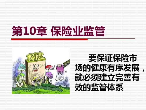 第10章  保险业监管