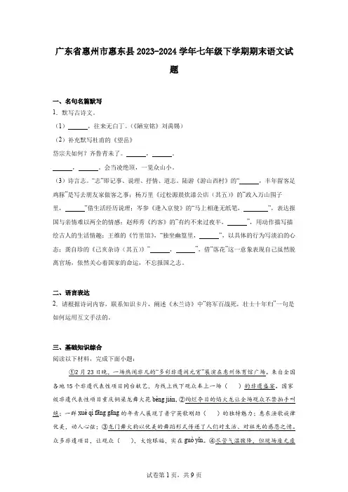 广东省惠州市惠东县2023-2024学年七年级下学期期末语文试题