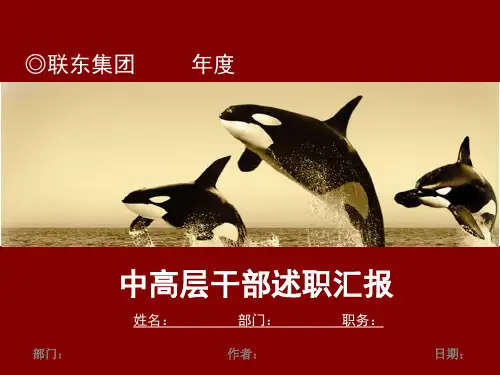 联东集团中高层干部述职汇报 