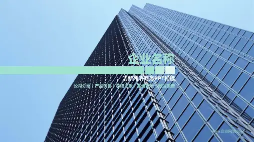 公司介绍产品销售总结汇报案例展示数据报告PPT模板