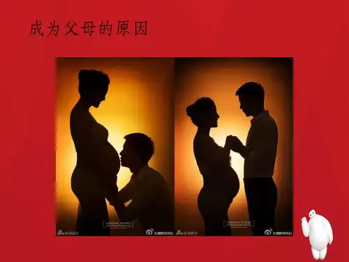 第五章  不同年龄阶段学前儿童的家庭教育ppt课件