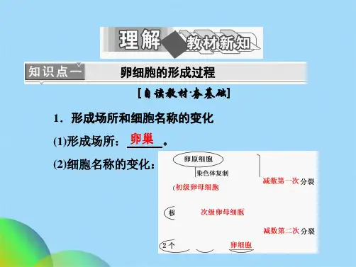 生物人教版必修2课件：212 卵细胞的形成过程和受精作用(共34张PPT)