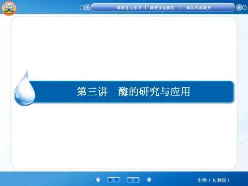【智慧测评】2015高考生物(人教版)总复习课件：选修1 第3讲 酶的研究与应用