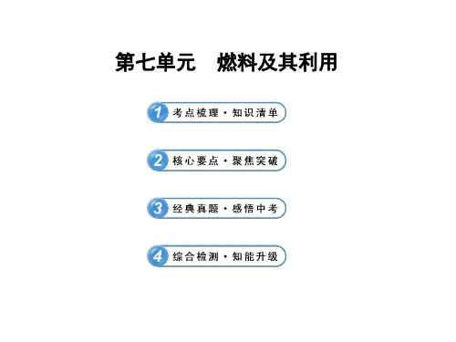 (人教版)2013年中考化学专题复习课件：第七单元 燃料及其利用