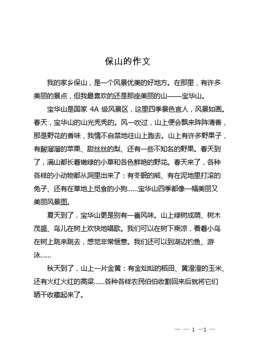 保山的作文