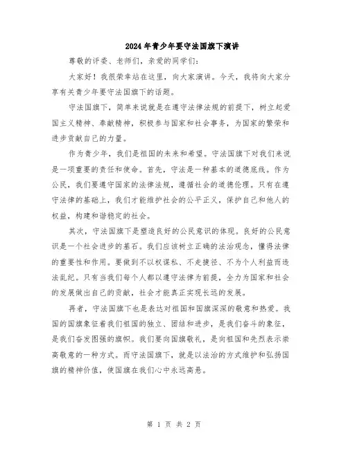 2024年青少年要守法国旗下演讲