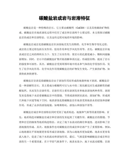 碳酸盐岩成岩与岩溶特征
