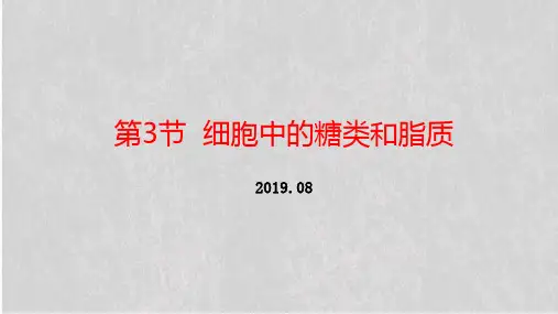2019年新教材人教版必修1第2章第3节-细胞中的糖类和脂质课件
