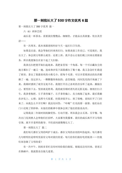 那一刻我长大了500字作文优秀6篇