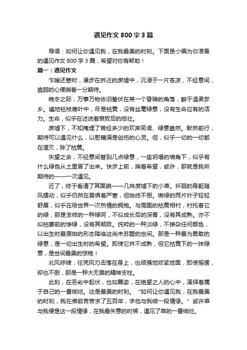 遇见作文800字3篇