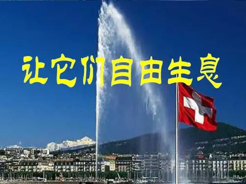 14课让它们自由生息