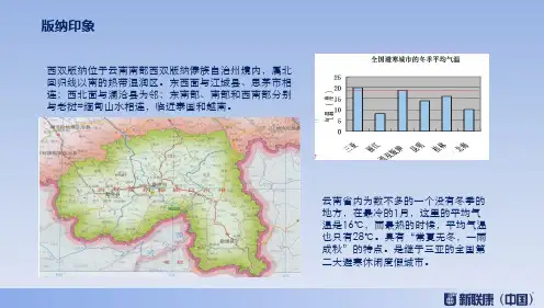 新联康度悦景庄·西双版纳一阶段营销的方案62页PPT