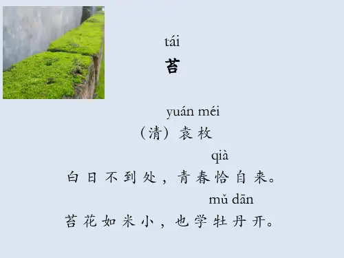 苔 袁枚(带拼音 小学低段)