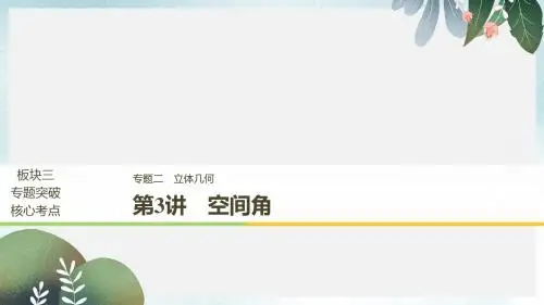 高考数学二轮复习专题二立体几何第3讲空间角课件