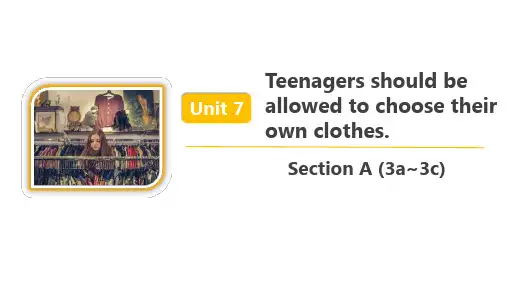 人教版九年级英语 Unit 7 Section A Section A (3a~3c) 精品课件