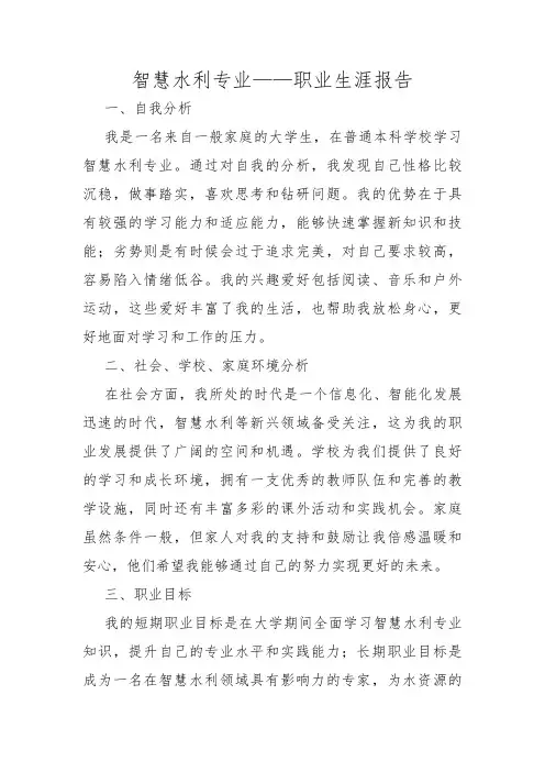 智慧水利专业——职业生涯报告