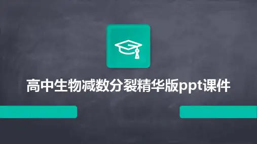 高中生物减数分裂精华版ppt课件