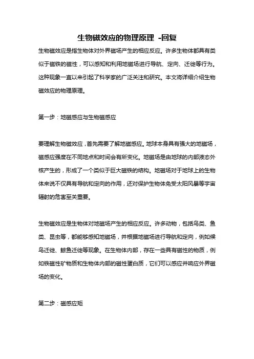 生物磁效应的物理原理 -回复