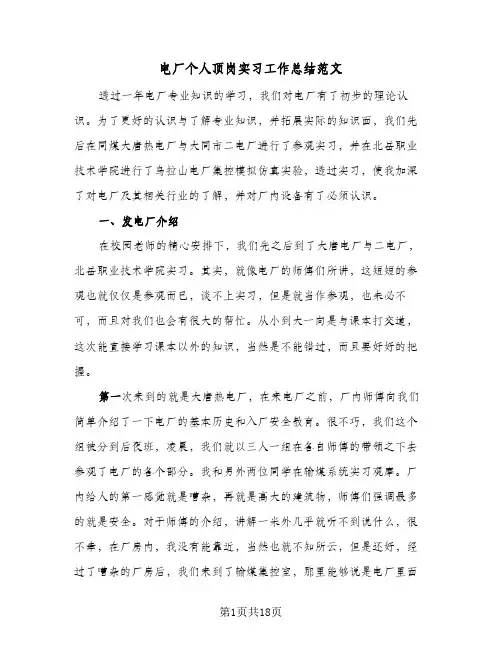 电厂个人顶岗实习工作总结范文（3篇）