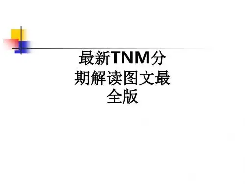 最新TNM分期解读图文最全版ppt课件