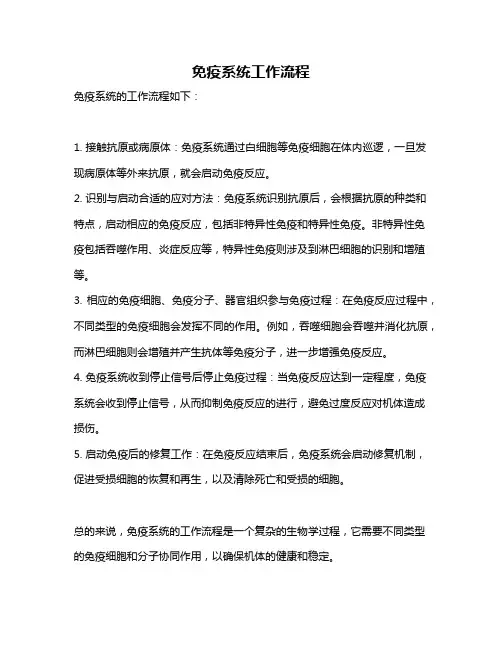 免疫系统工作流程