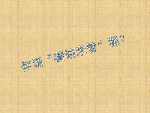 碳纳米管及修饰
