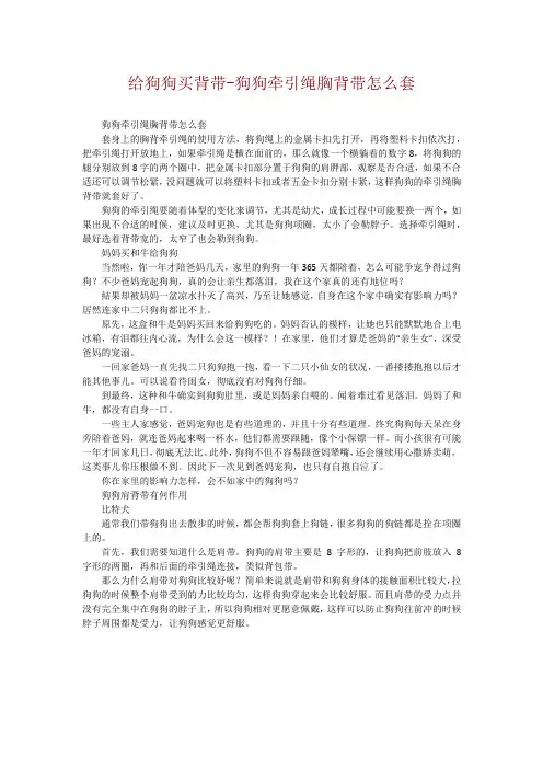 给狗狗买背带-狗狗牵引绳胸背带怎么套