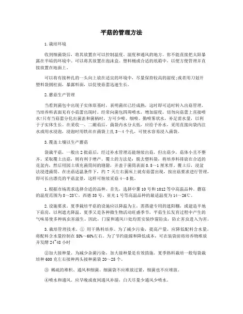 平菇的管理方法