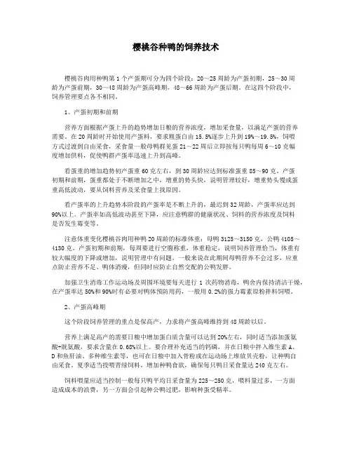 樱桃谷种鸭的饲养技术