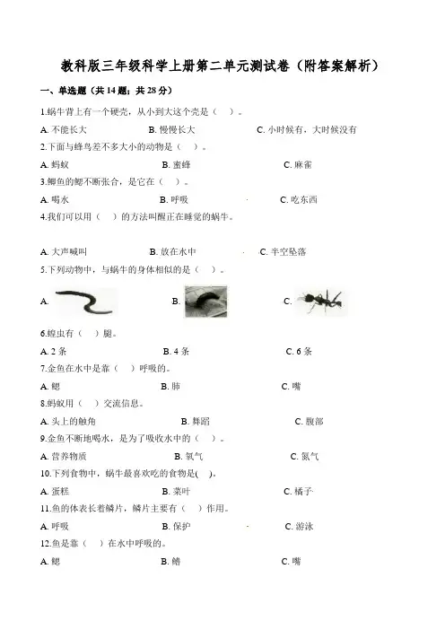 教科版三年级科学上册第二单元测试卷(附答案解析)
