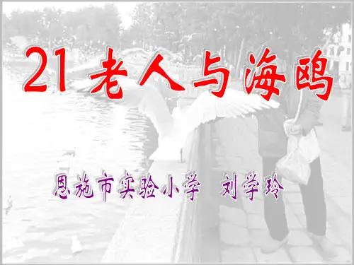 部编六年级上人教《21 老人与海鸥》刘学玲PPT课件 一等奖新名师优质课获奖比赛公开免费下载
