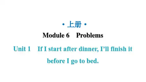 外研版九年级英语上册Module6 Unit1教学课件