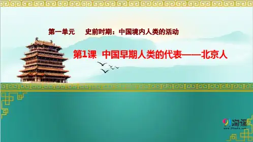 课件1：第1课 中国早期人类的代表——北京人