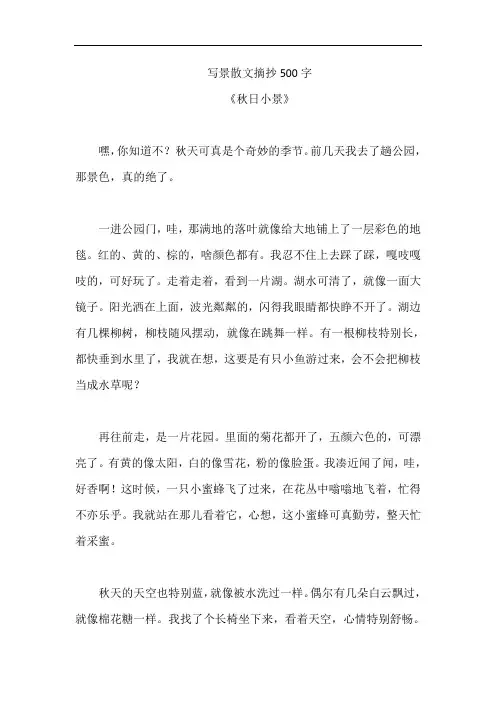 写景散文摘抄500字
