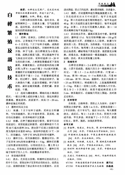 白桦繁殖及栽培技术