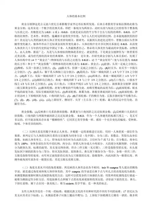 人体的基本比例