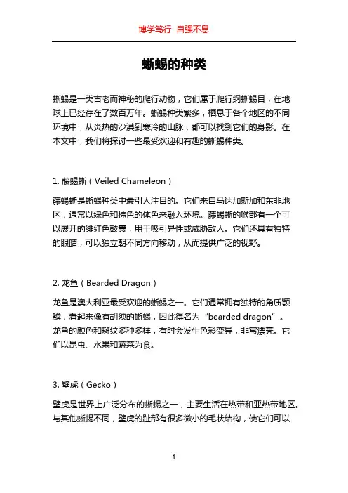 蜥蜴的种类