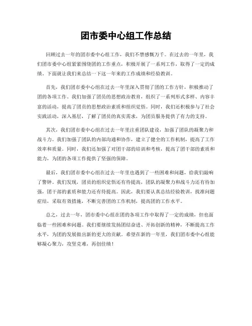 团市委中心组工作总结