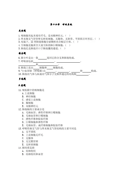 第十六章呼吸系统