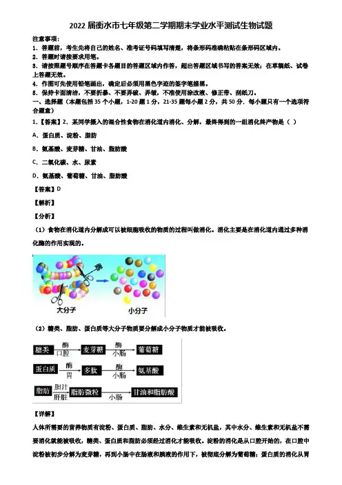 2022届衡水市七年级第二学期期末学业水平测试生物试题含解析