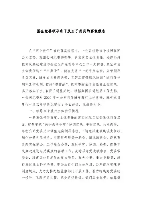 国企党委领导班子及班子成员的画像报告