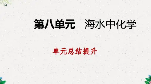 鲁教版九年级化学全册第八单元海水中的化学复习课件(共33张PPT)