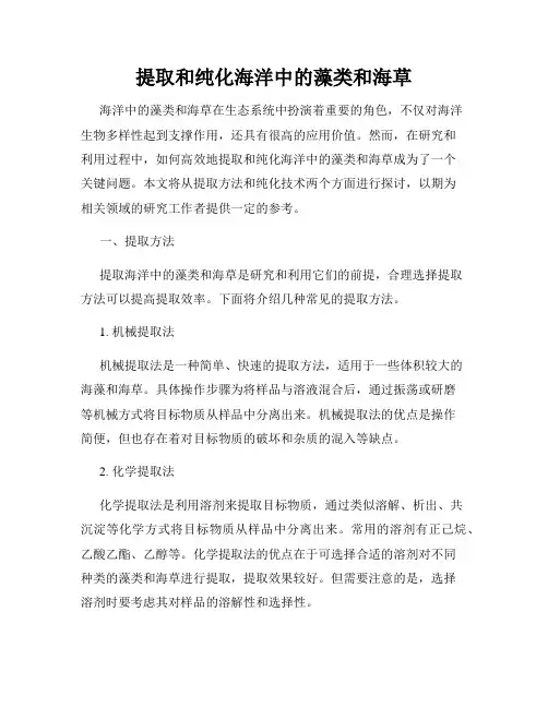 提取和纯化海洋中的藻类和海草