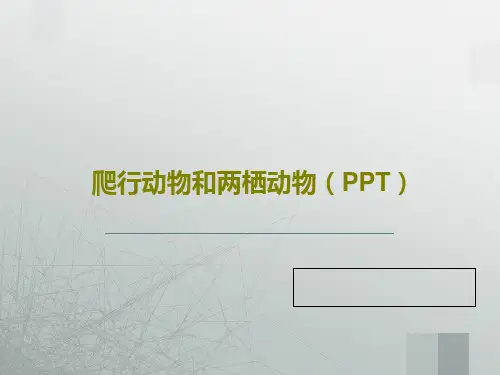 爬行动物和两栖动物(PPT)共26页文档